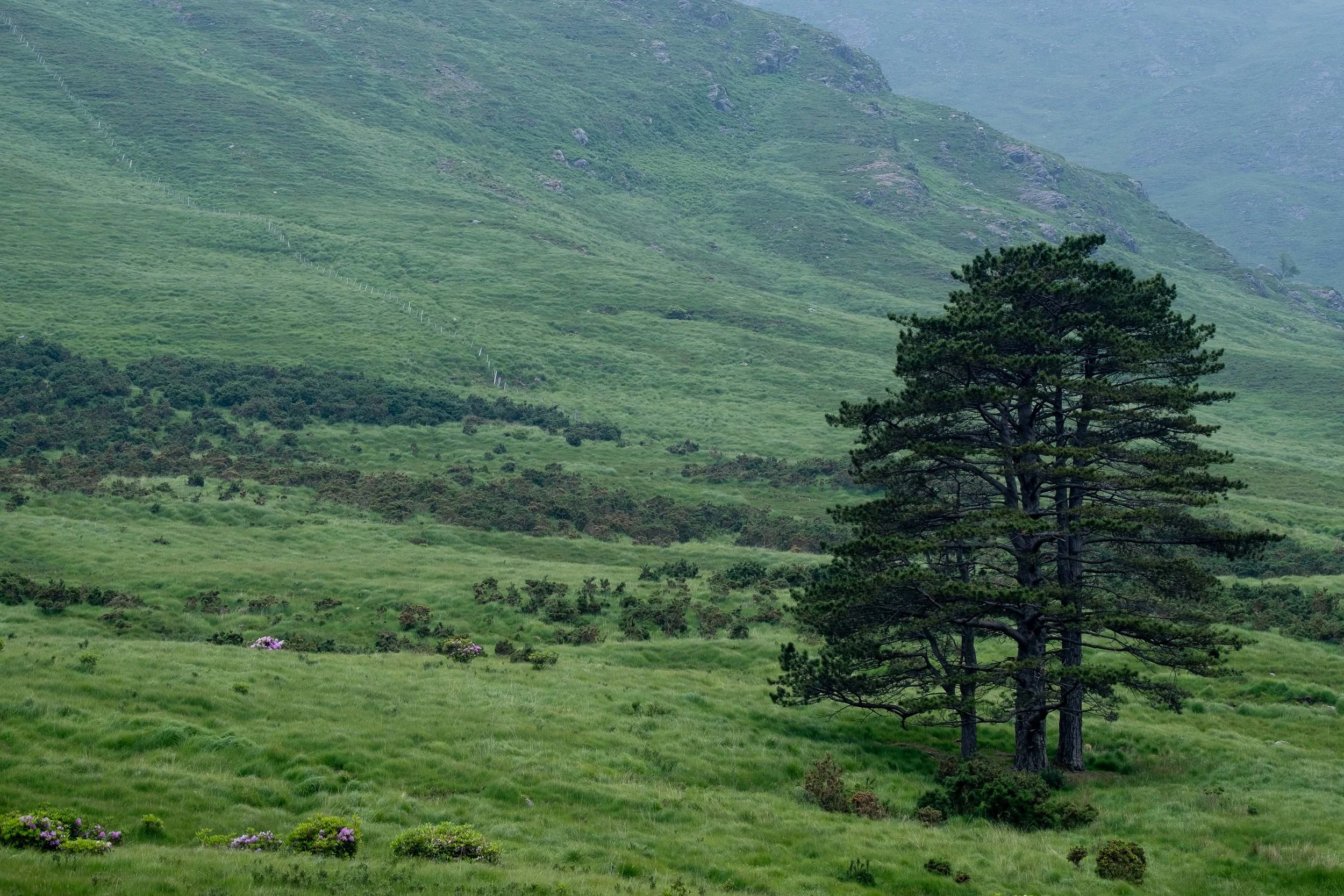  - Sarah Edwards - DSCF0484.jpg