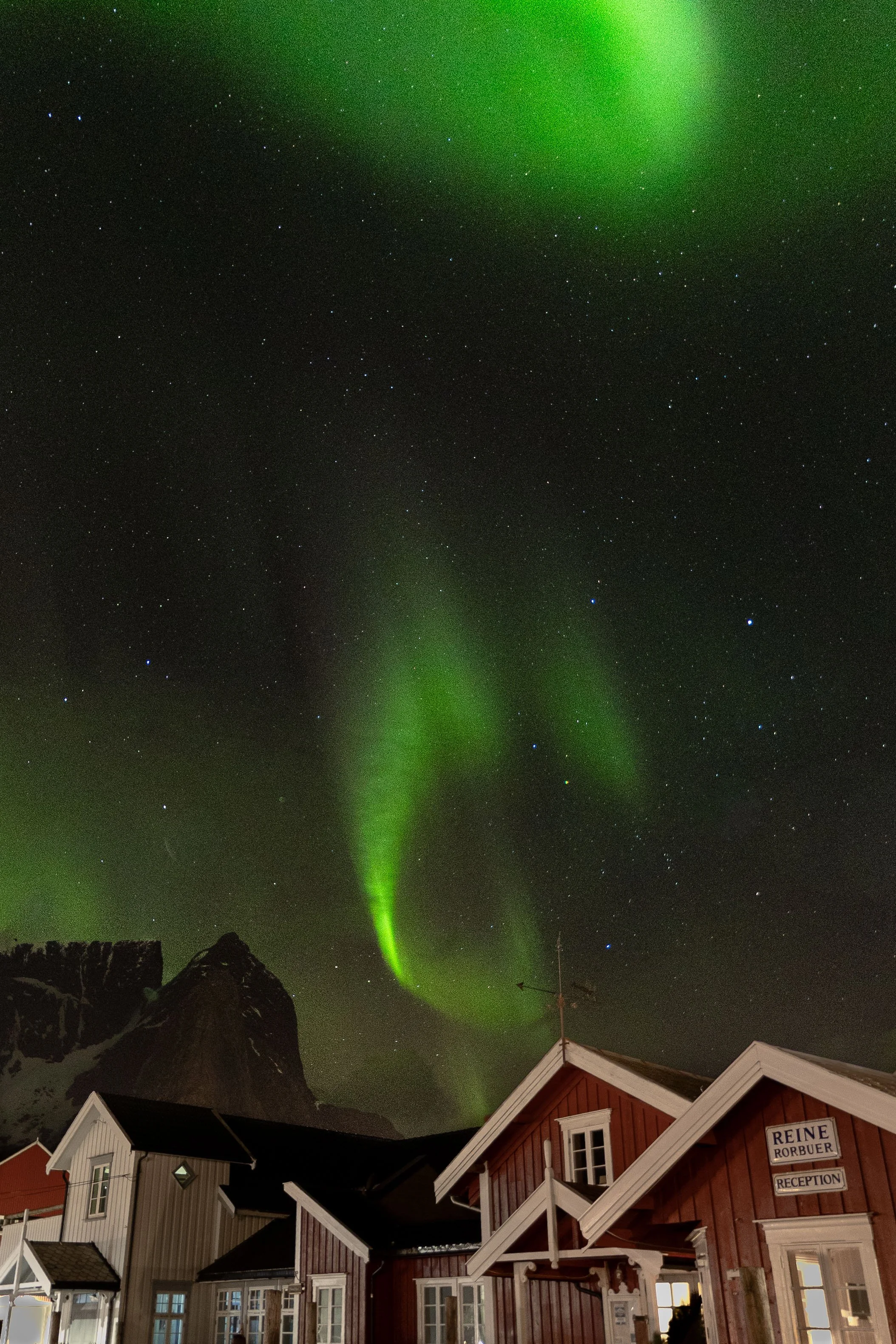  - Sarah Edwards - B47A6855.jpg