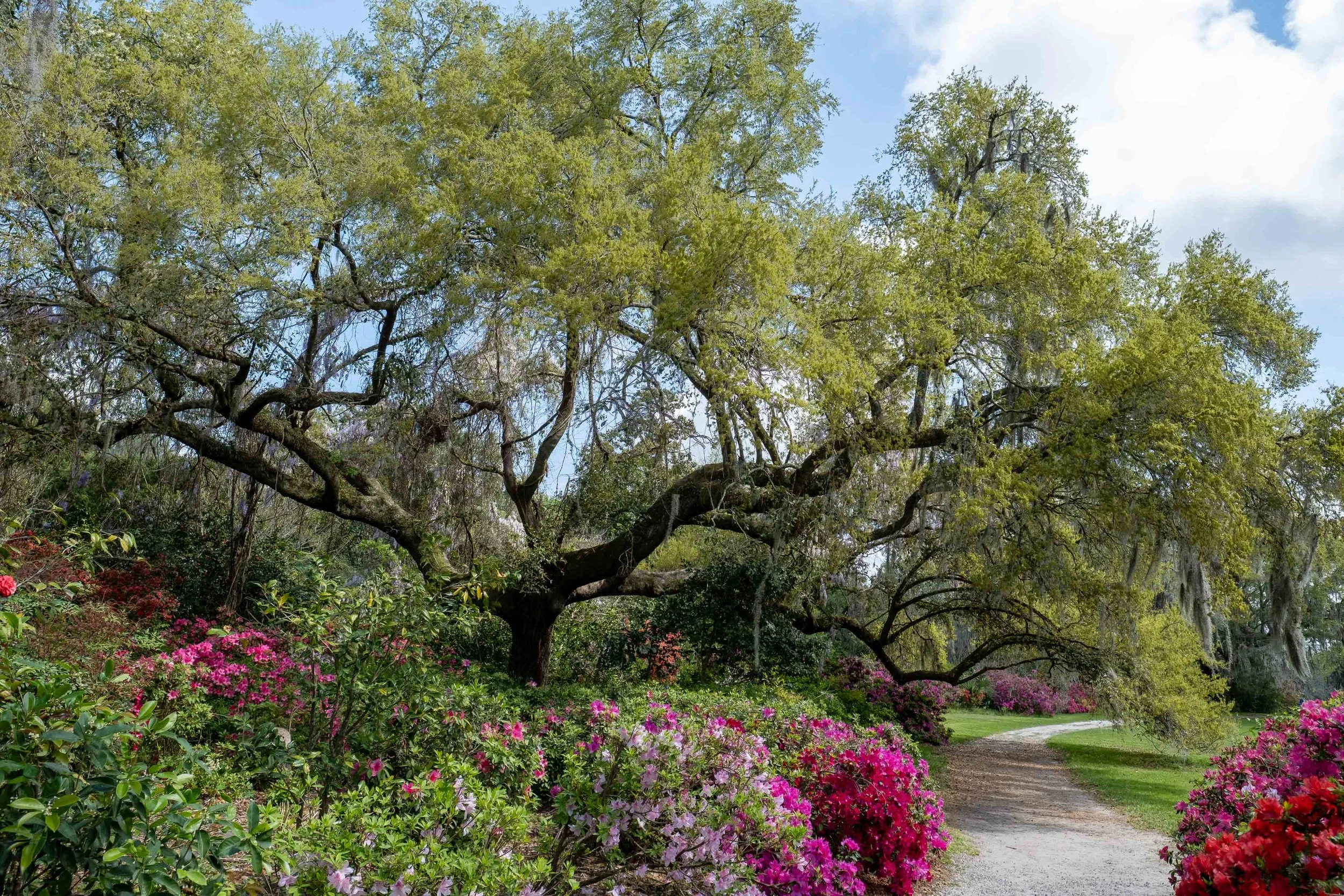  - Sarah Edwards - 2021_03_31_untitled_00233-HDR-2.jpg
