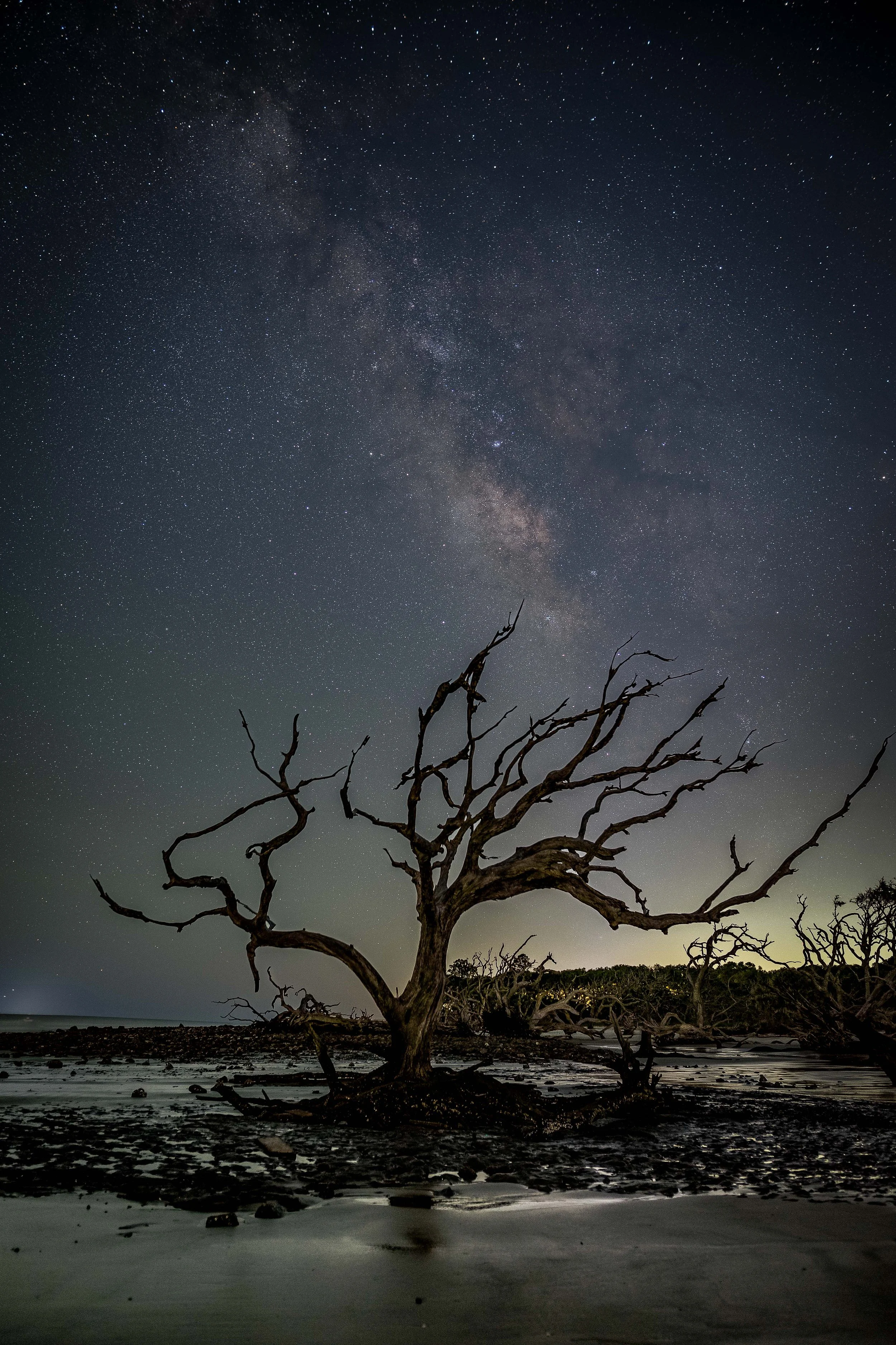 Milky Way - Sarah Edwards Photography-14.jpg