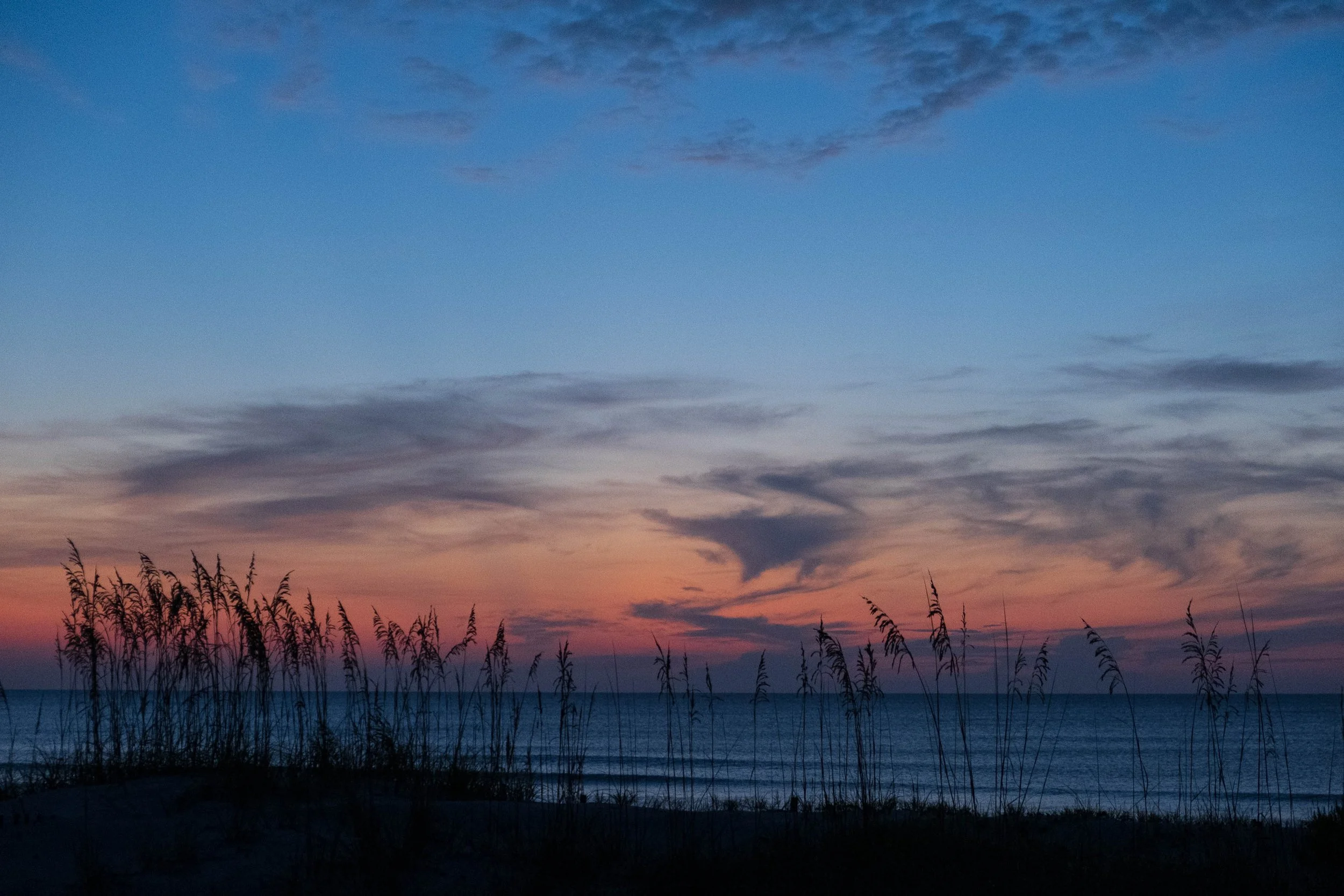  - Sarah Edwards - 2020_07_11_Amelia_00043.jpg