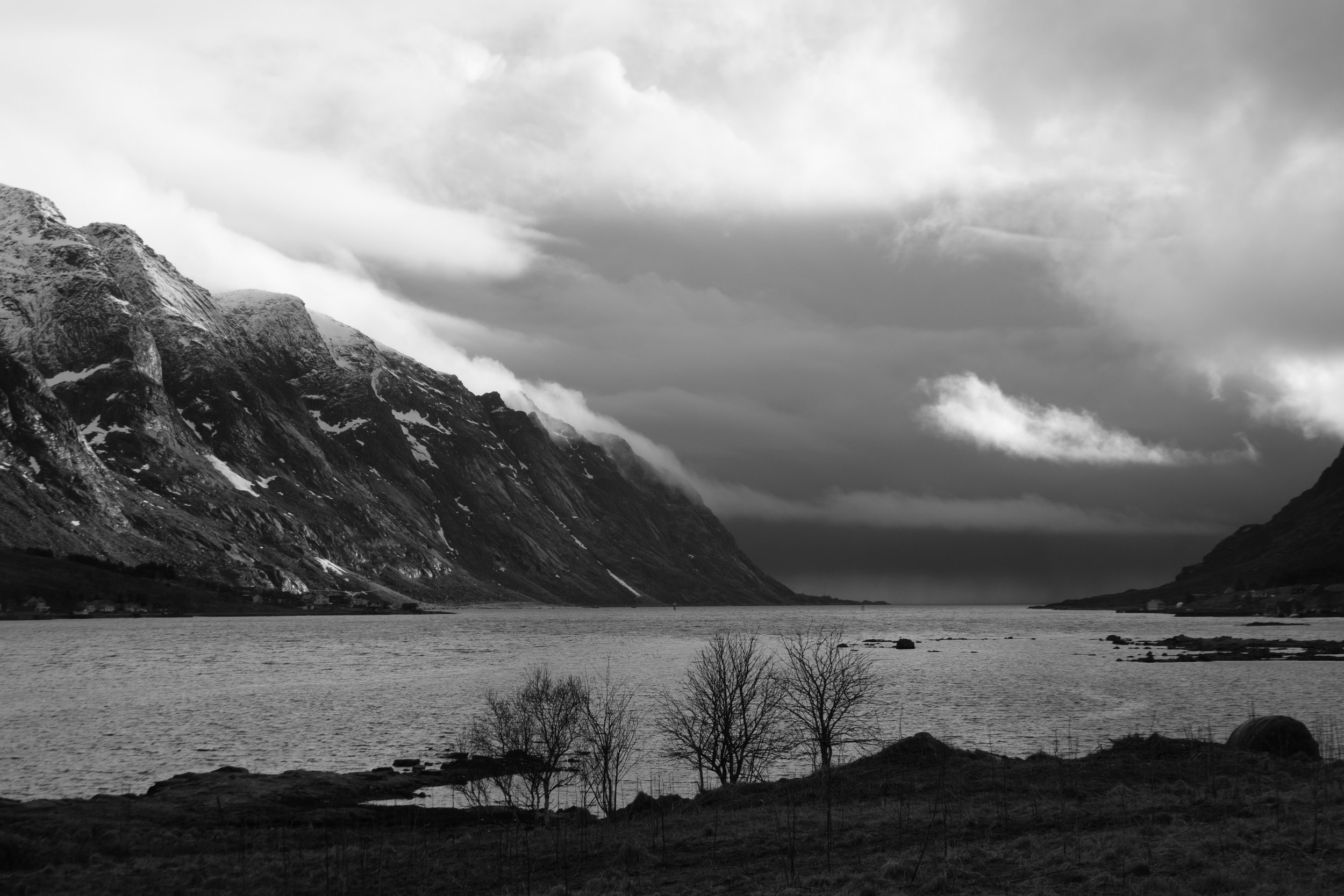  - Sarah Edwards - _DSF3623.jpg