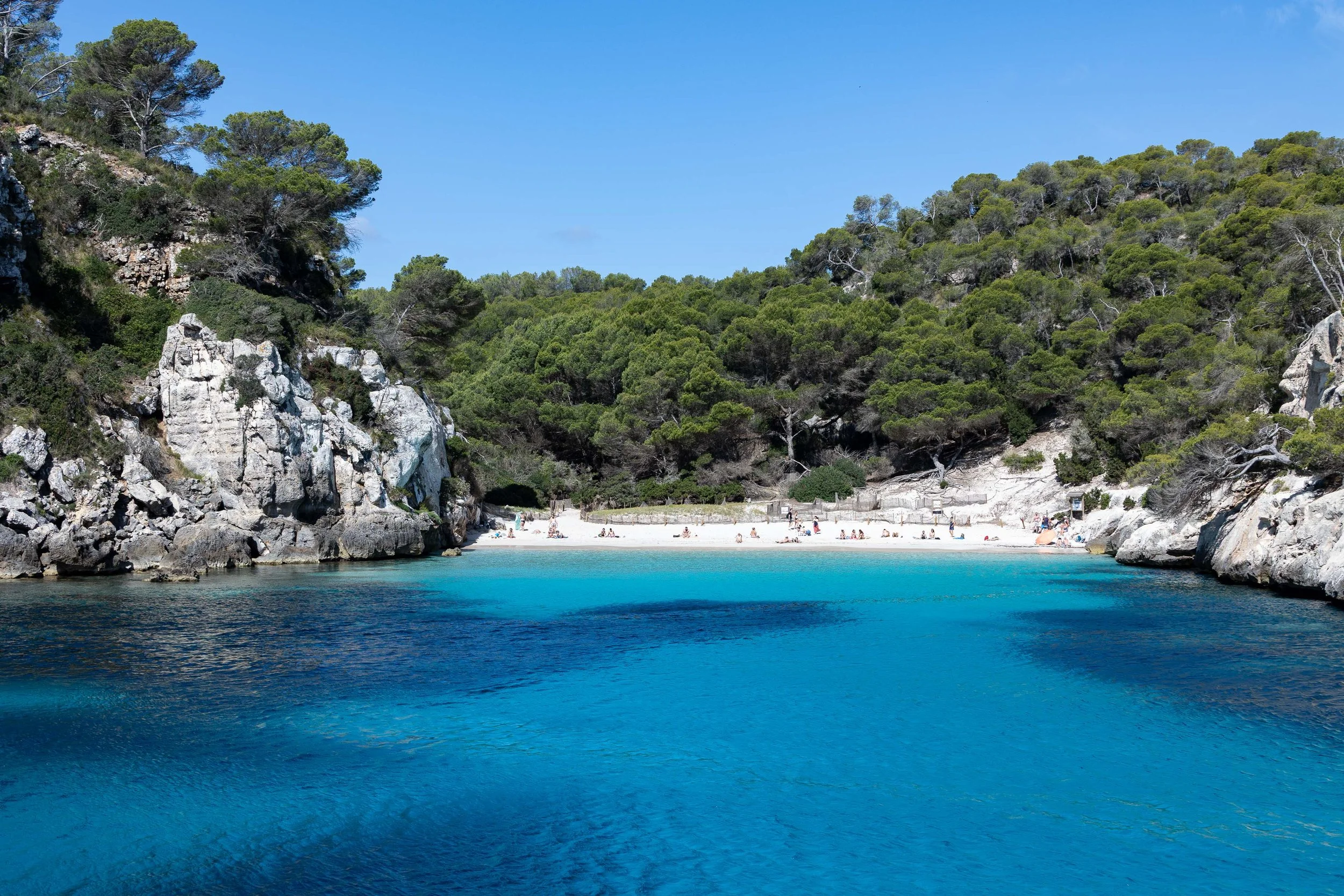  - Sarah Edwards - B47A1227.jpg