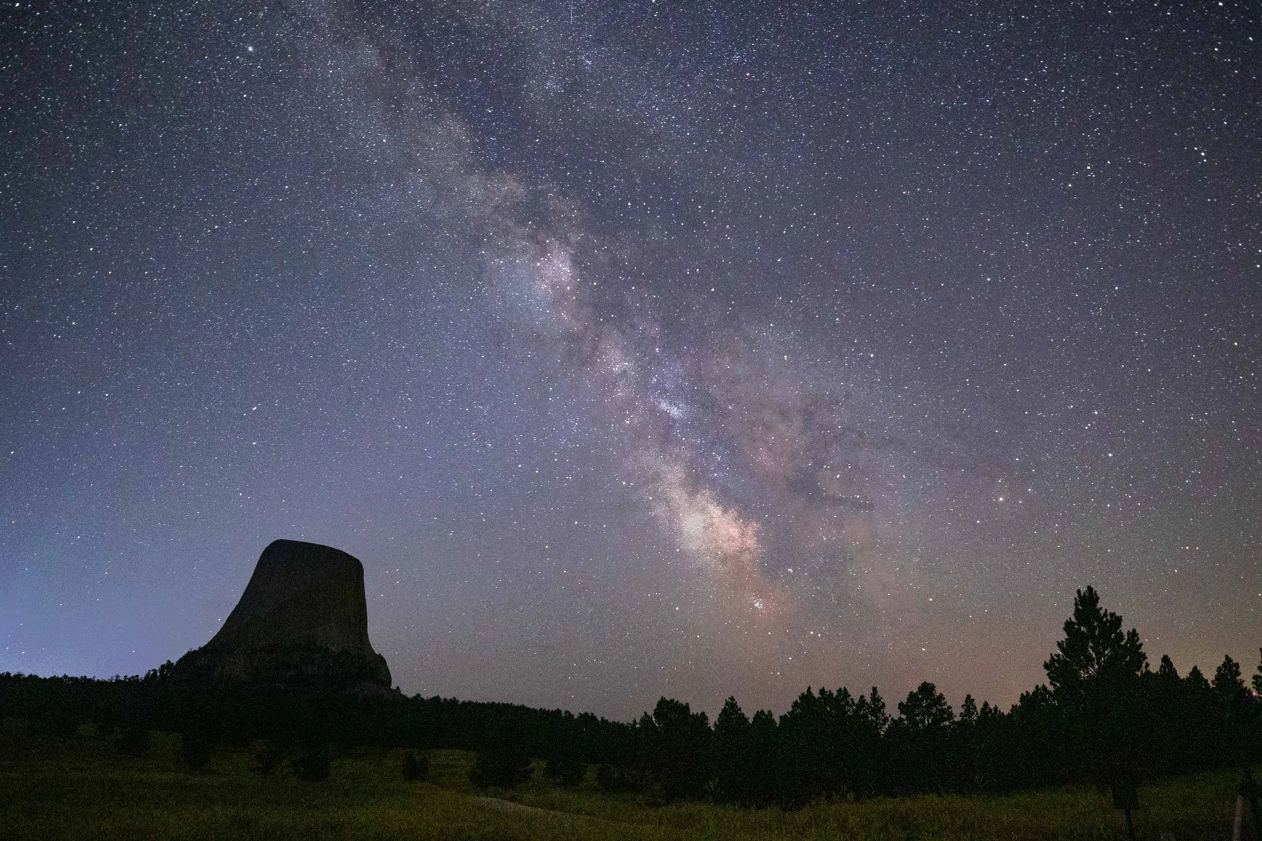  - Sarah Edwards - B47A6140.jpg