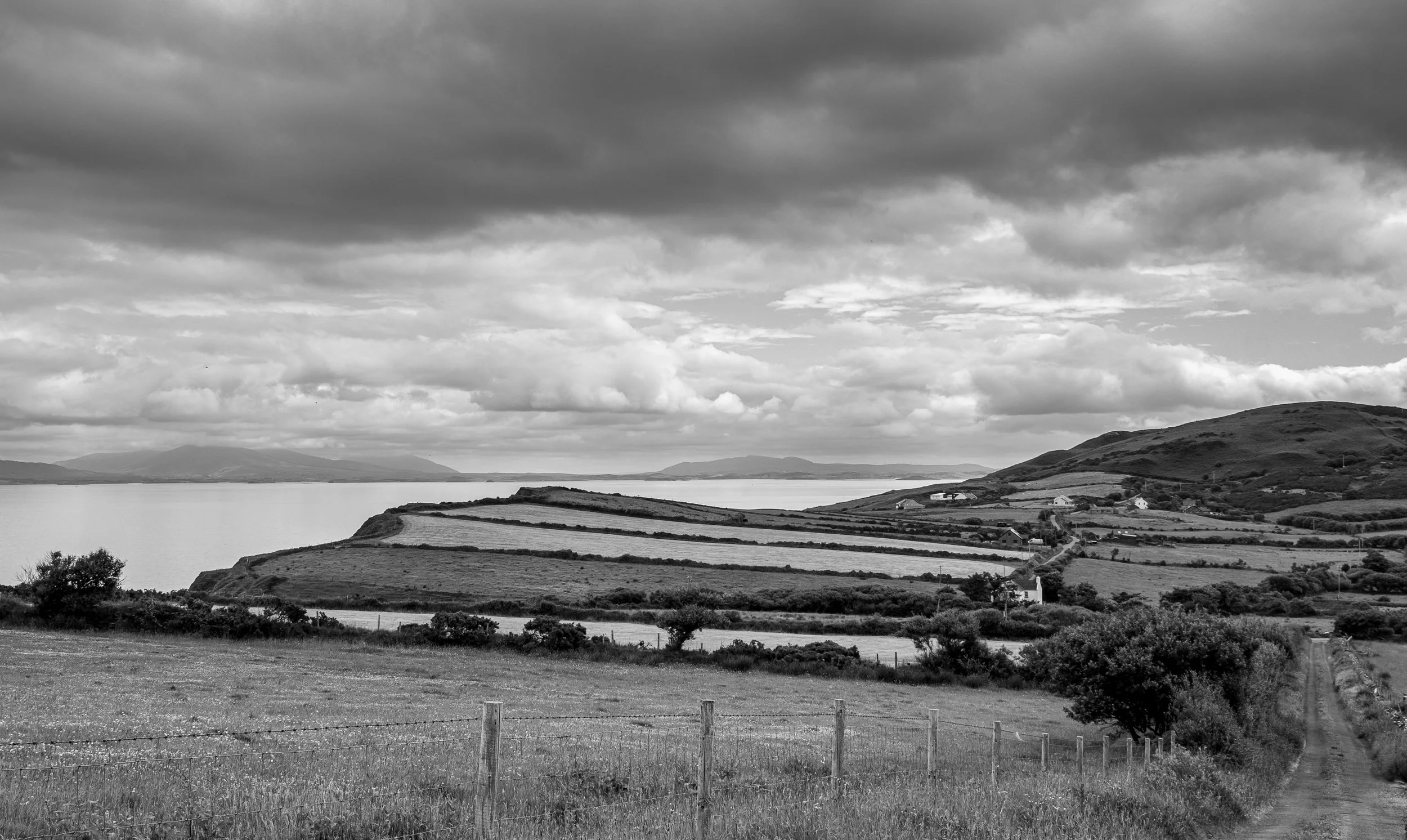  - Sarah Edwards - DSCF0547.jpg