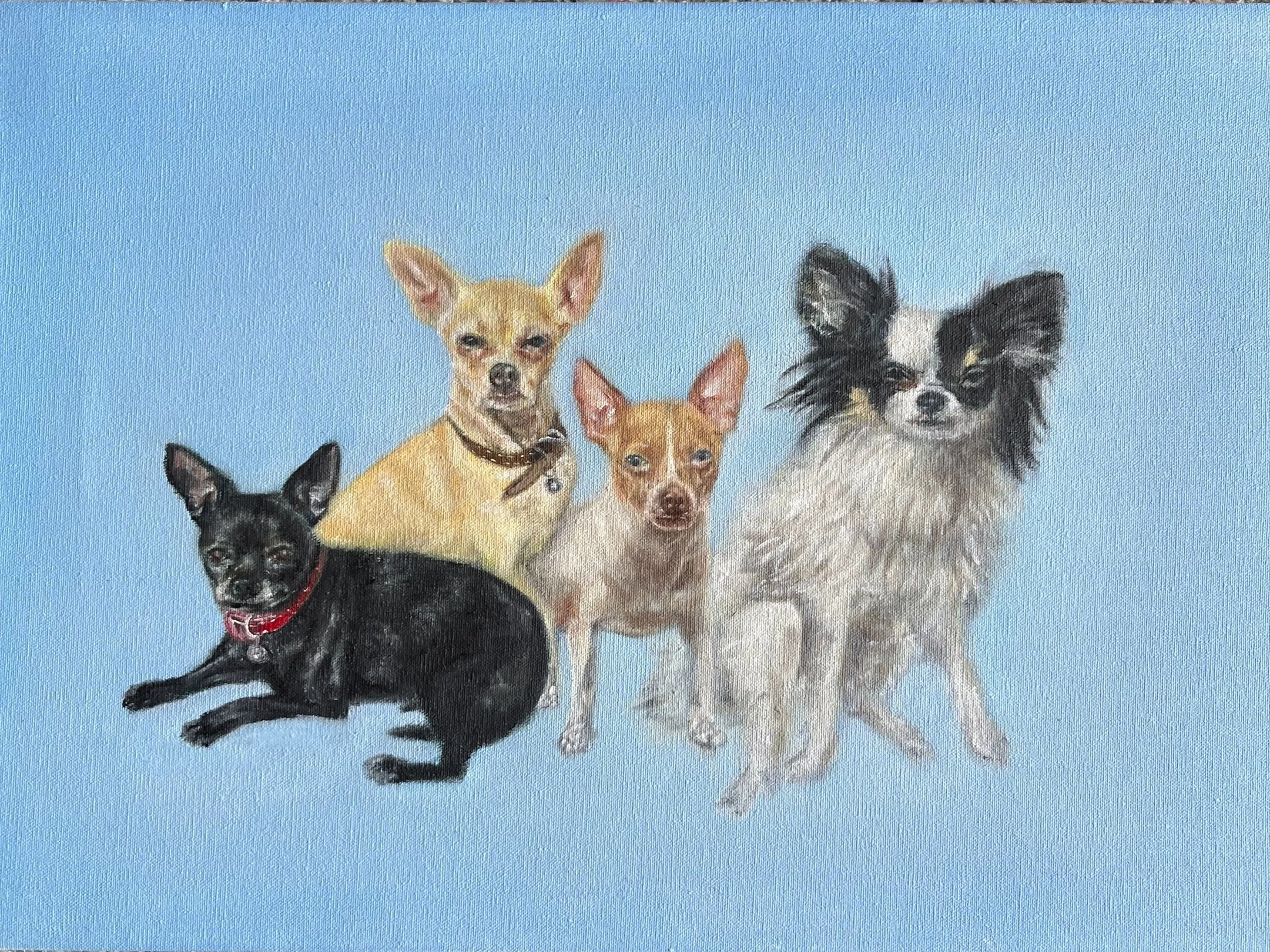 4 chihuahuas, comisión
25 x 35 cm 
Óleo sobre tela