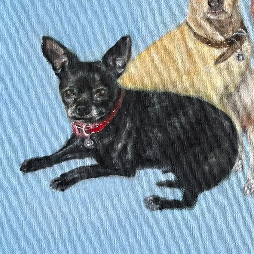 4 chihuahuas, comisión
25 x 35 cm 
Óleo sobre tela