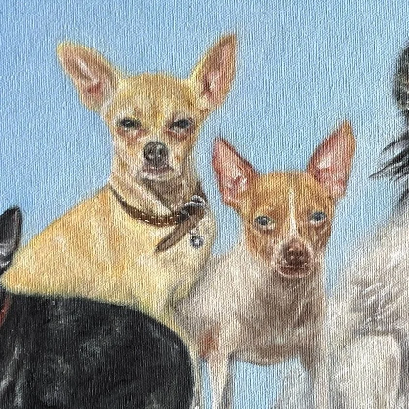4 chihuahuas, comisión
25 x 35 cm 
Óleo sobre tela