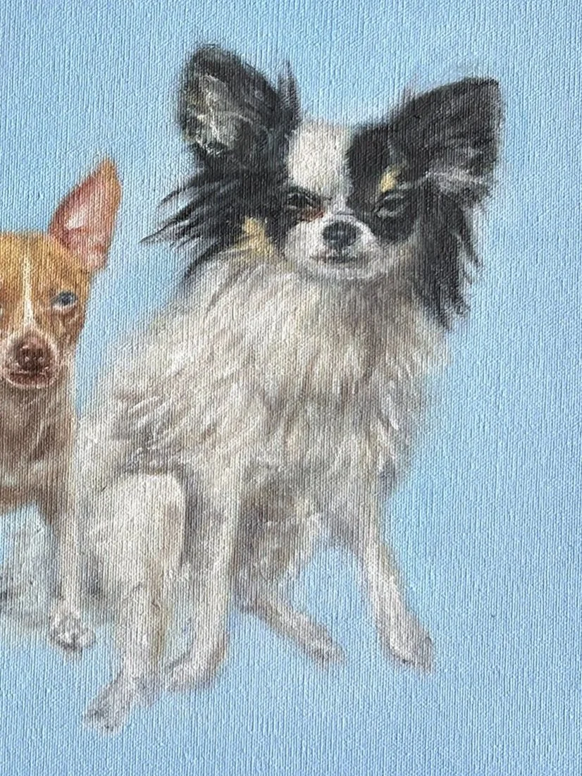 4 chihuahuas, comisión
25 x 35 cm 
Óleo sobre tela