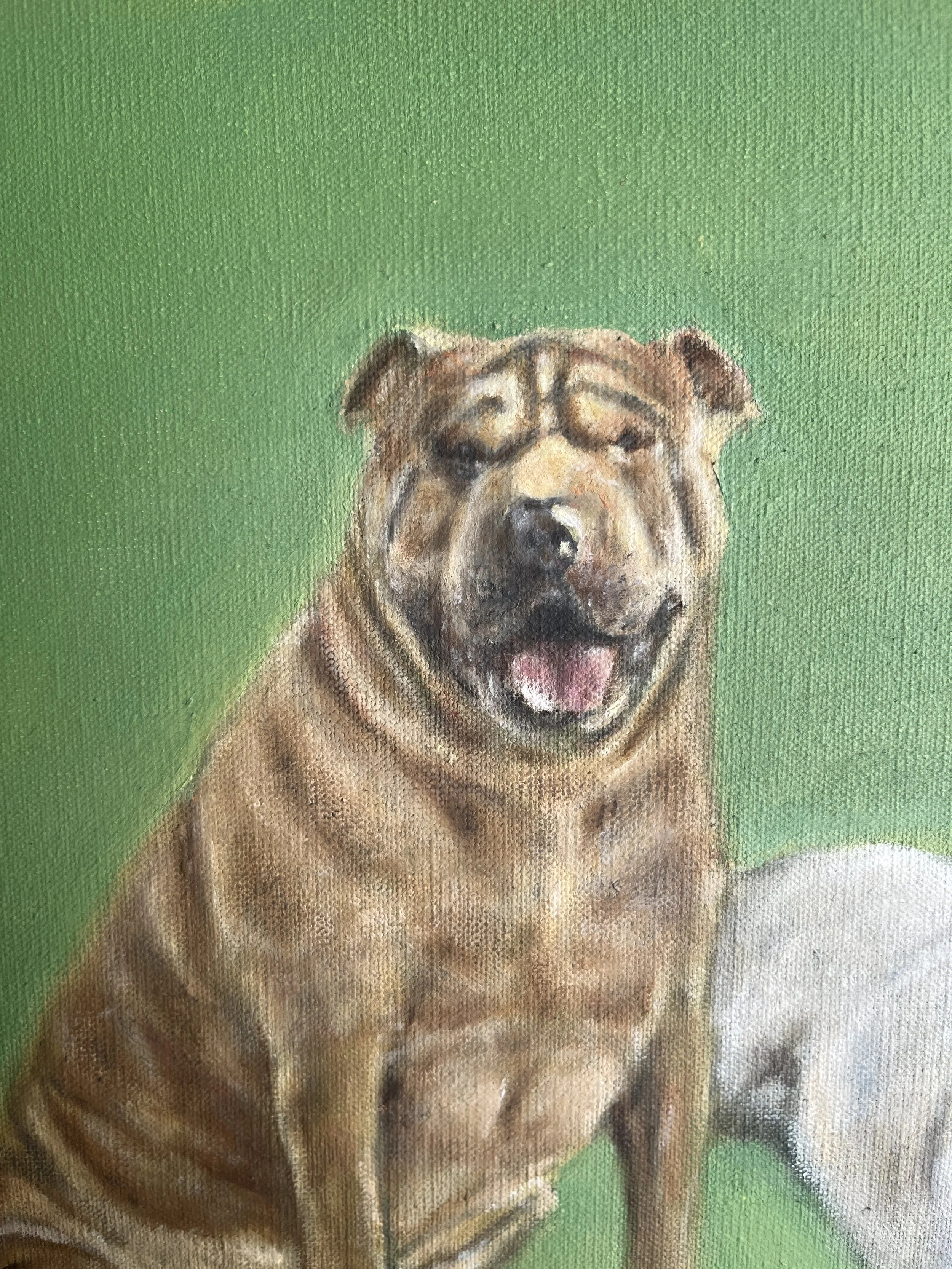 Dean y Gouda
25X35 cm 
Óleo sobre tela