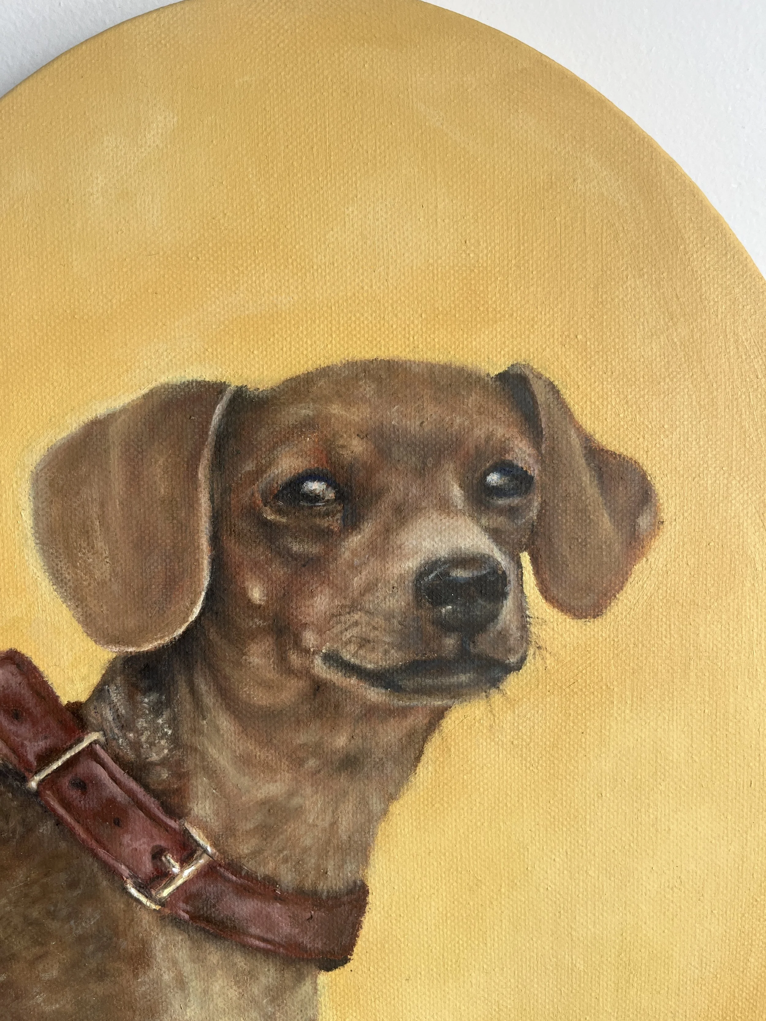 Máximo
30X40 cm 
Óleo sobre tela