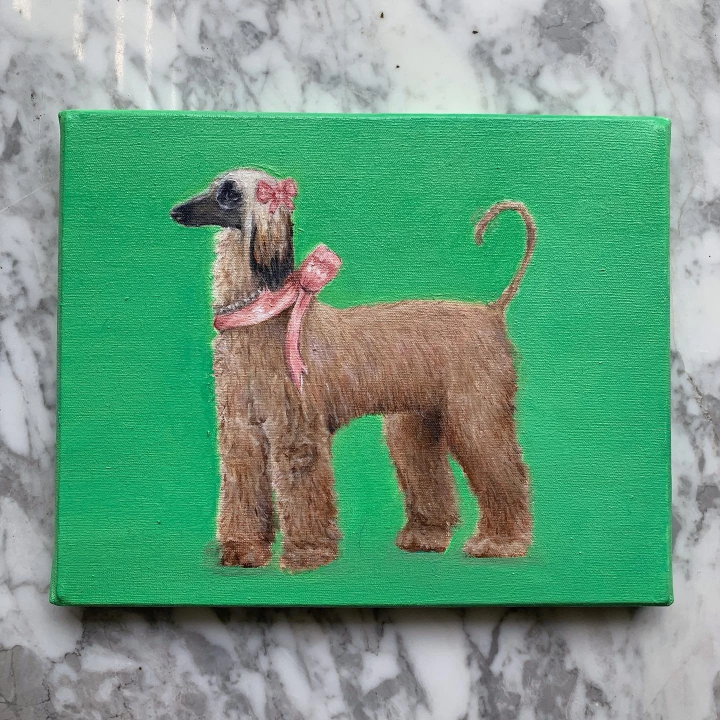 Afgano con moño 
Óleo sobre tela 
25X20 cm 