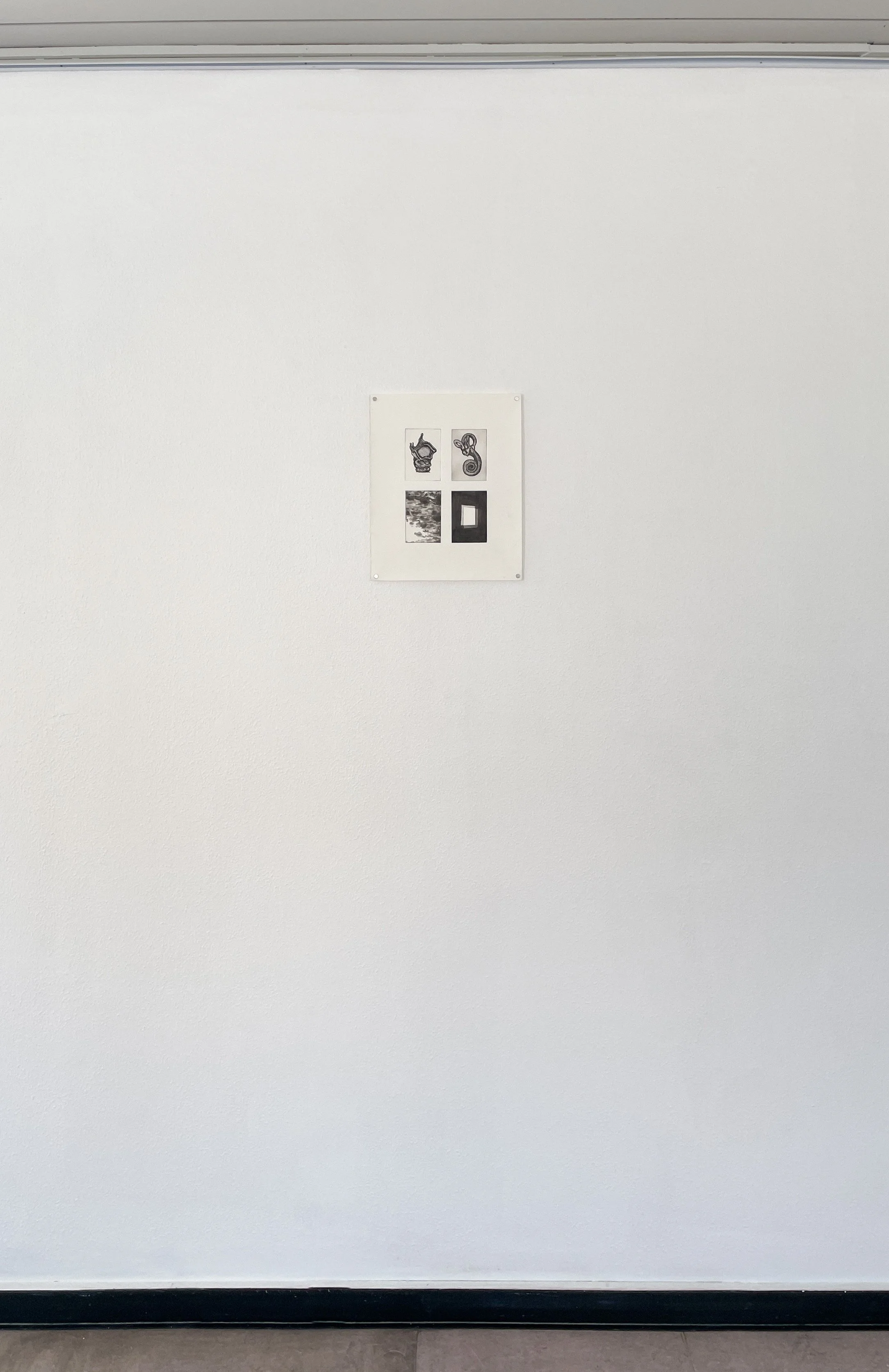 22 B54A5FC3-3FA6-40C1-84F7-C914A0C1EF91.JPEG