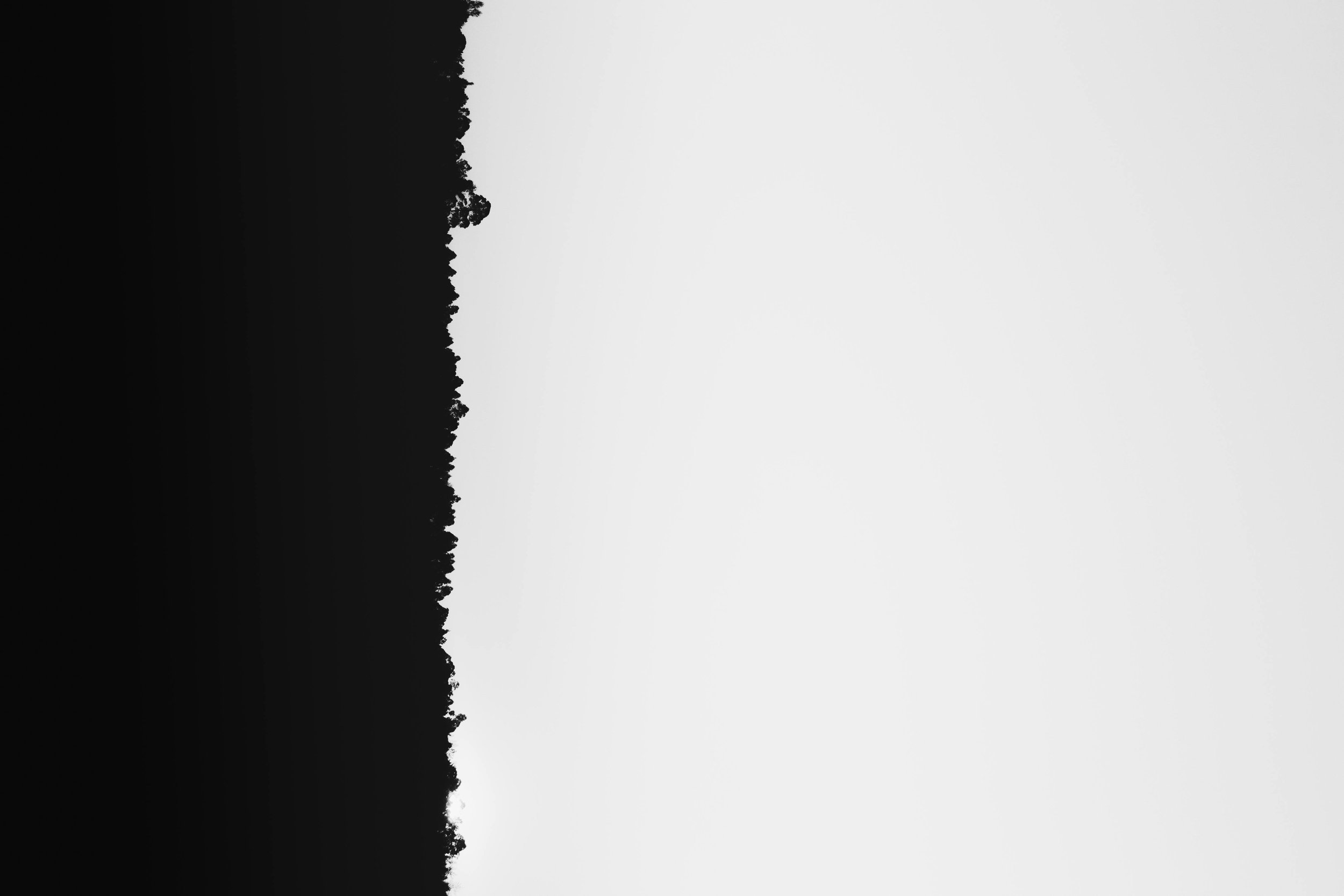 09 - Contrast