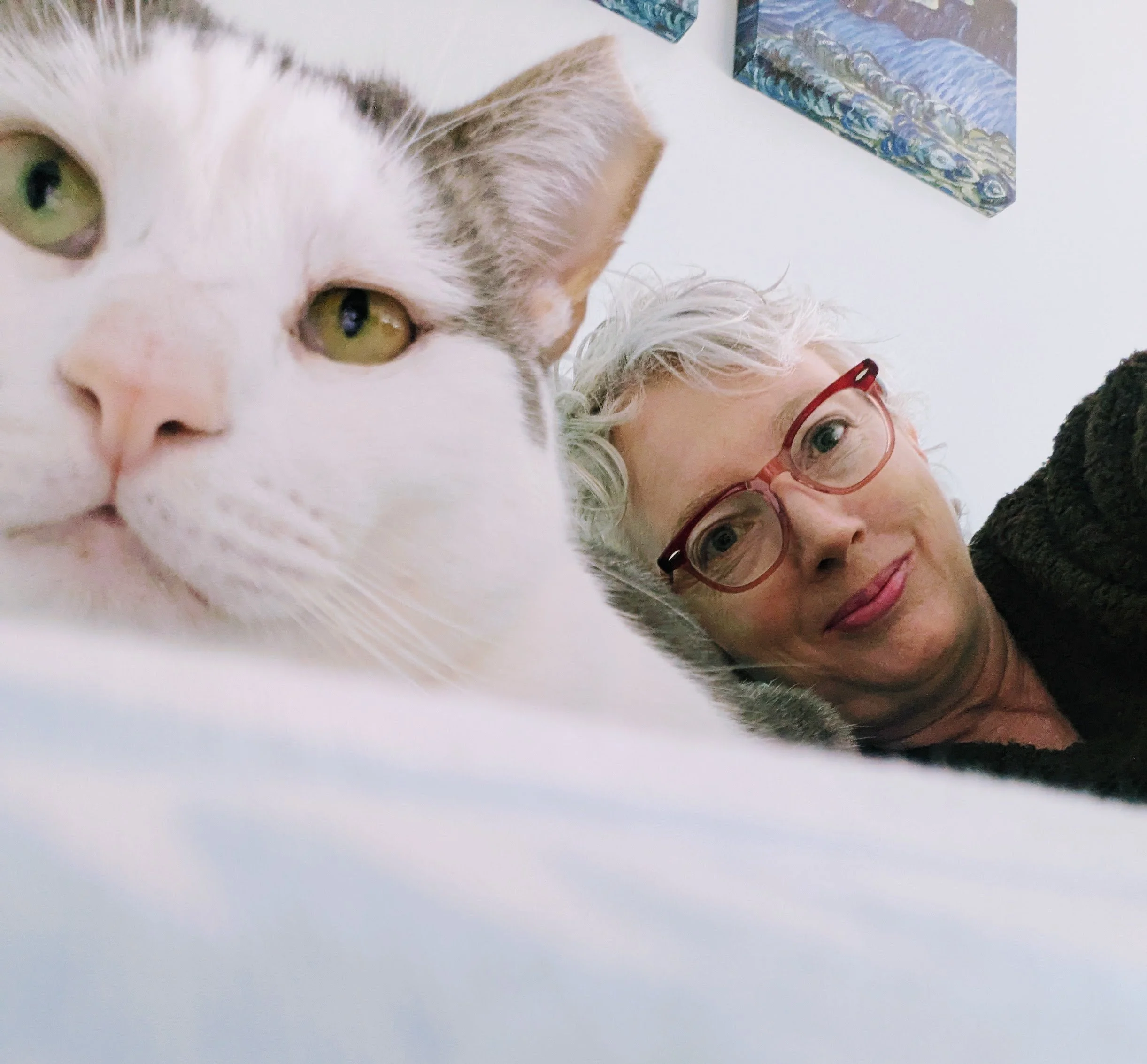 Close-up of a white and gray cat with yellow-green eyes and pink nose, lying next to an older woman with short gray hair and pink glasses, smiling.