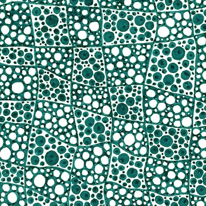 Dot_CheckerCard.jpg