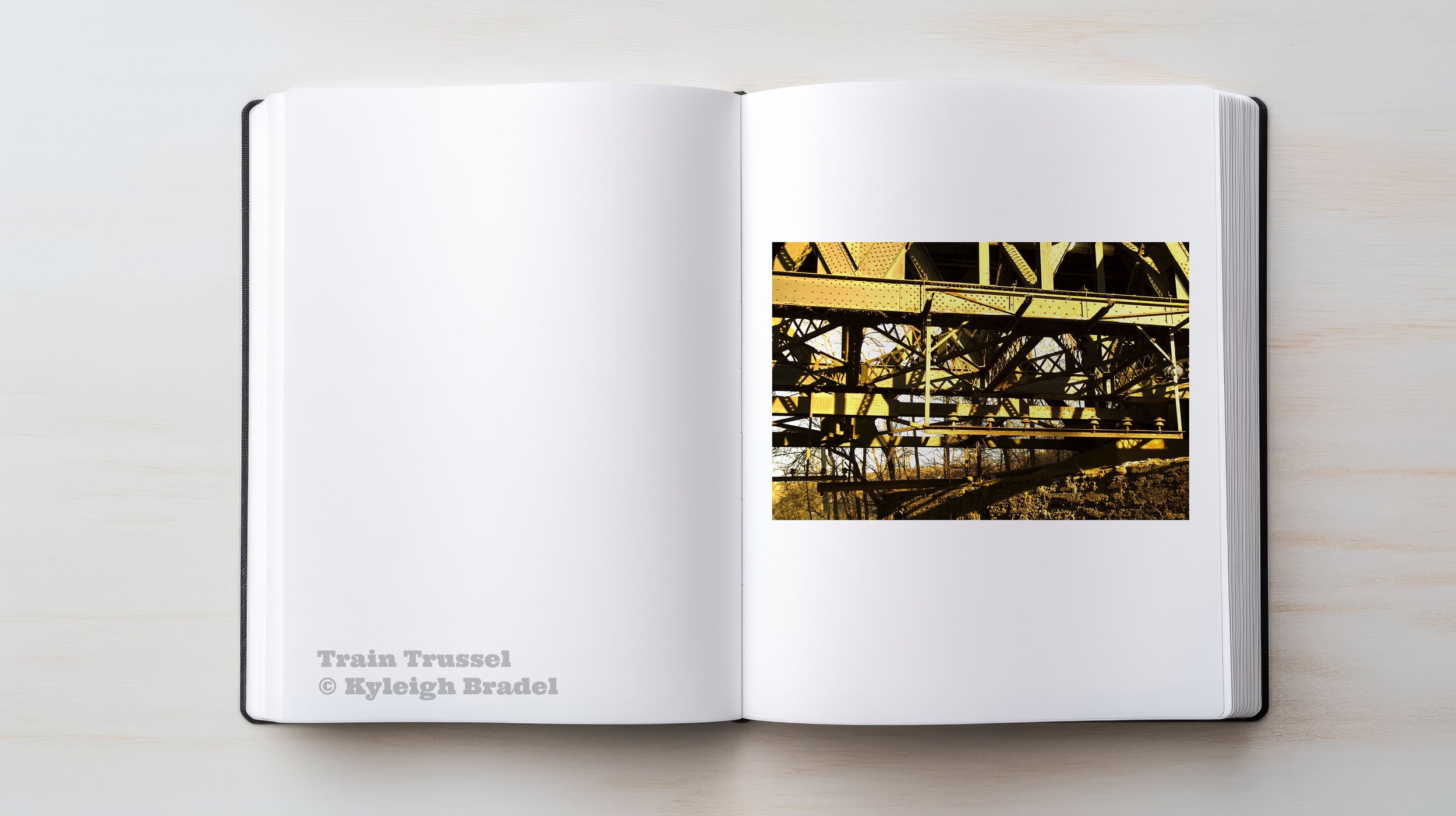 trainBridge_book.jpg