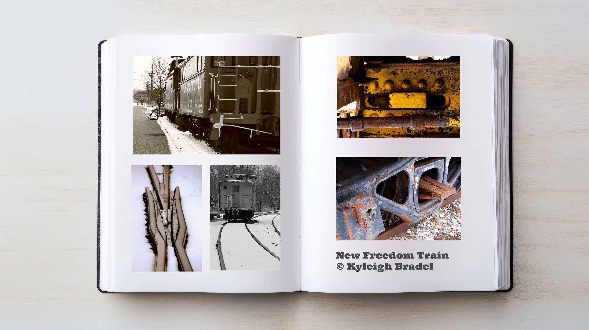 NewFreedom_Train_Book.jpg