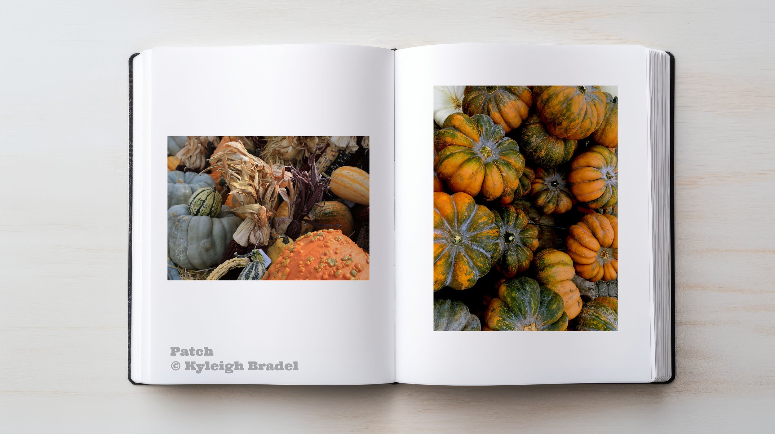 Pumpkin_Book.jpg
