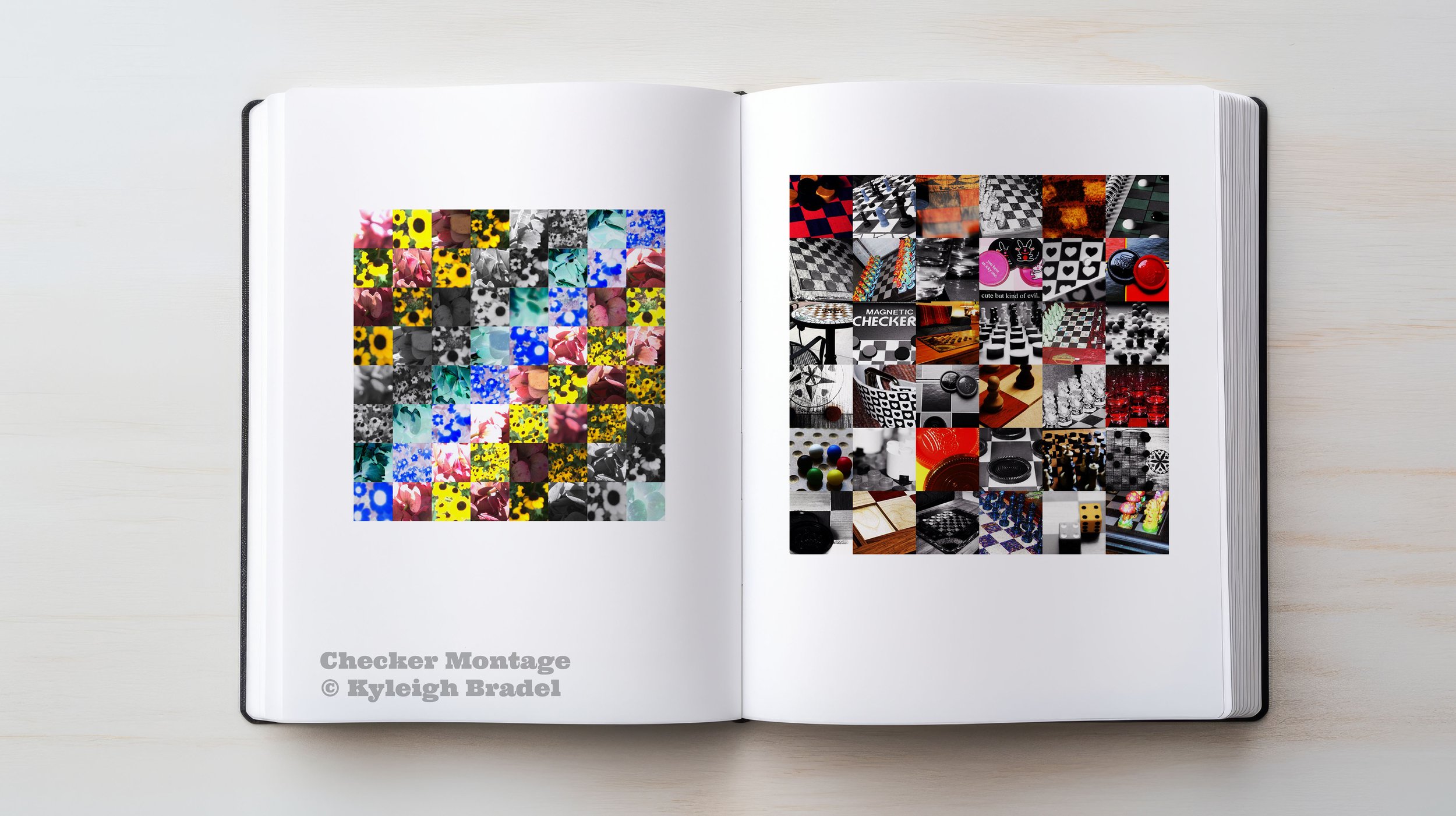 checkercheck_Book.jpg