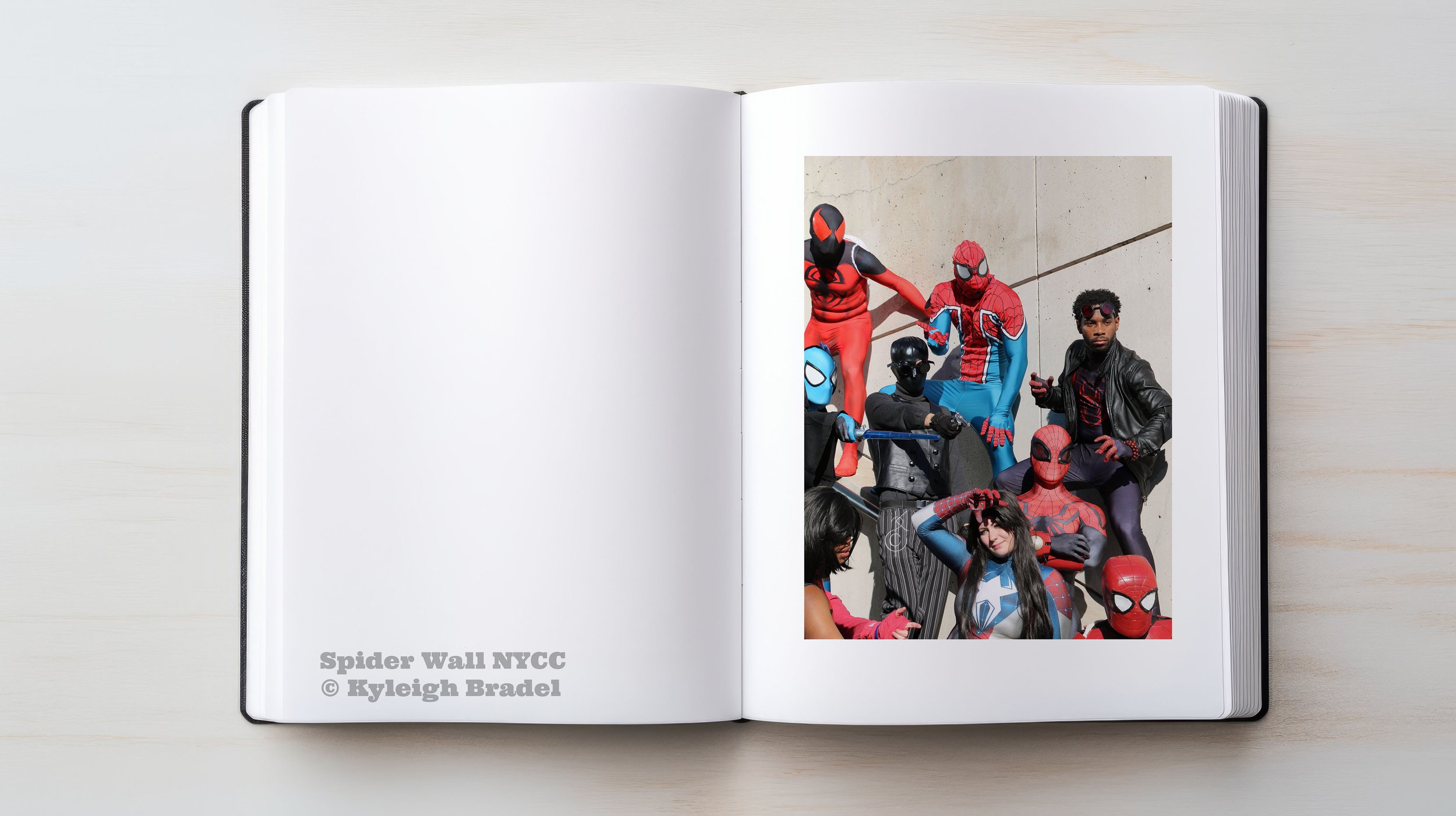 SpiderWall_Book.jpg