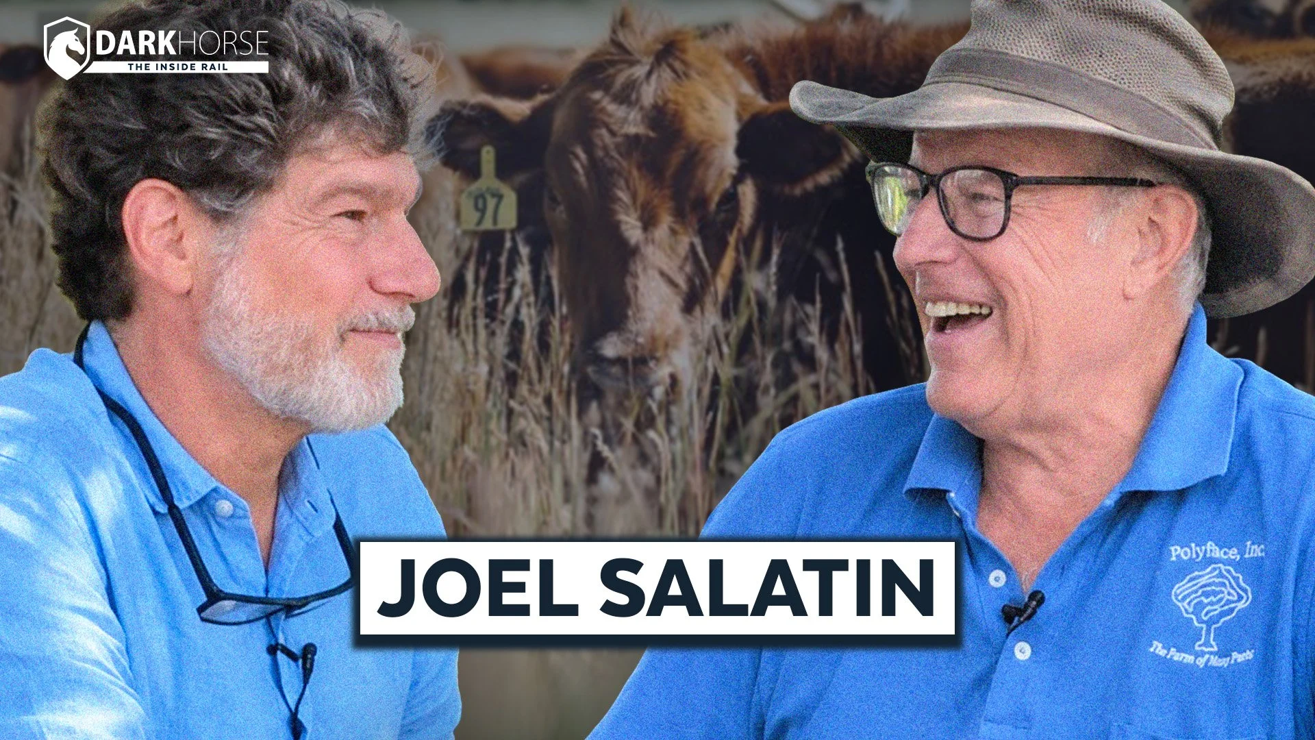 Organic Wisdom: Joel Salatin on DarkHorse