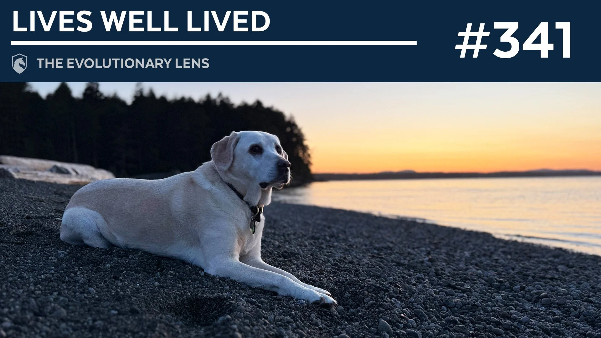 Lives Well Lived: The 341st Evolutionary Lens with Bret Weinstein and Heather Heying
