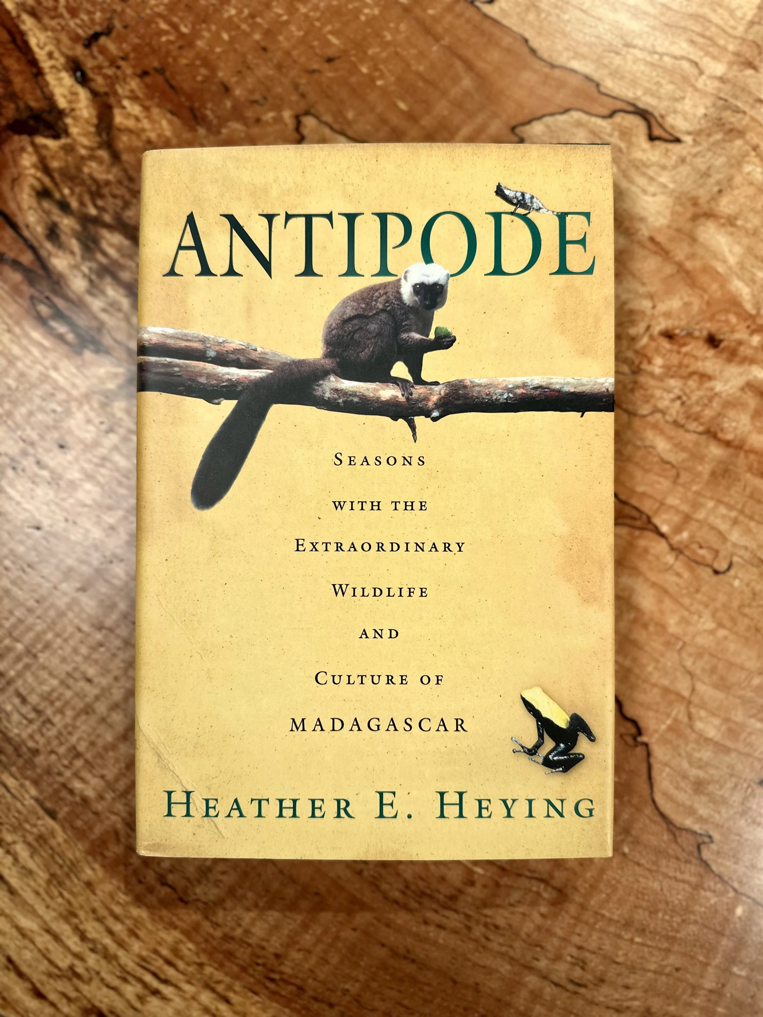 Antipode Cover.jpeg