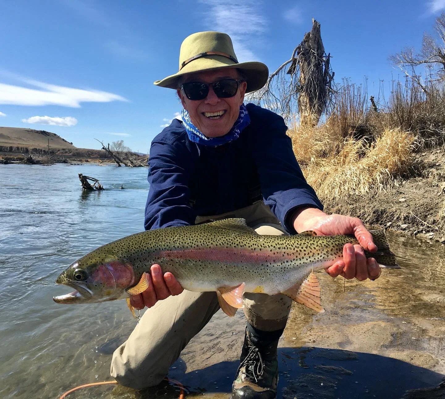 Just an absolute specimen of a rainbow! The freestones in SW Montana are starting to get daily shots of color but when the windows are there, they are producing some beautiful fish. 

#flyfishing #troutfishing #troutguide #montana #bobberdown #clacka