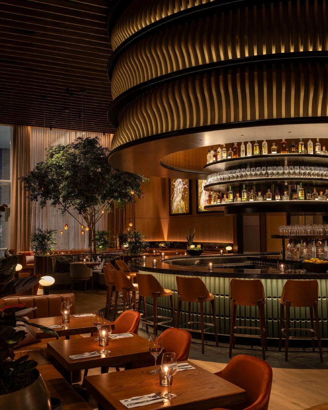 CACTUS
MIAMI CGI