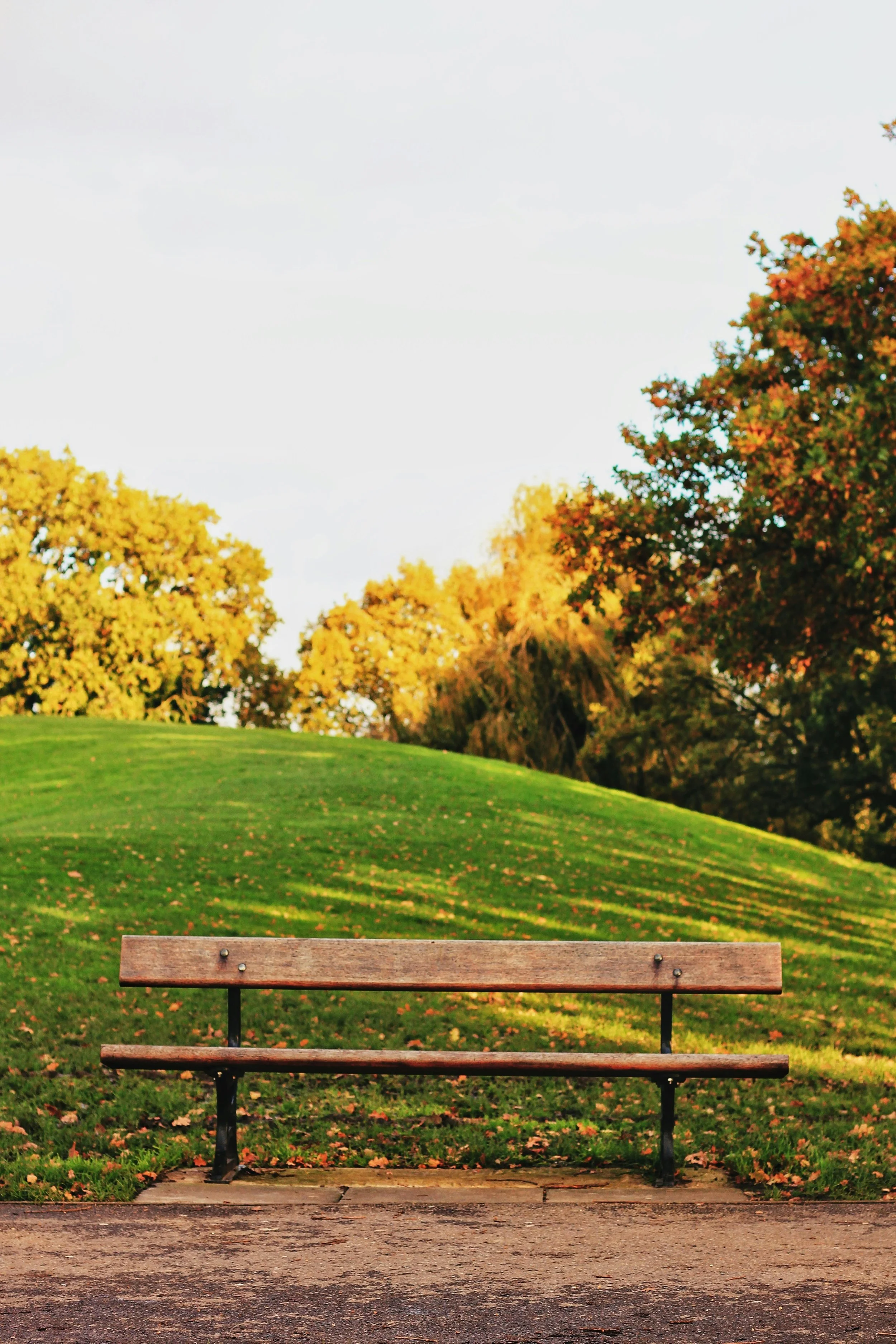 A park bench on a paved surface with a grassy hill and trees with fall foliage in the background.