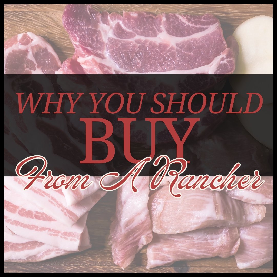 Benefits of Buying Meat Directly from a Rancher