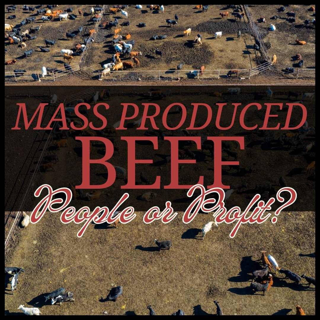 Is Mass-Produced Beef More About Profits Than People?