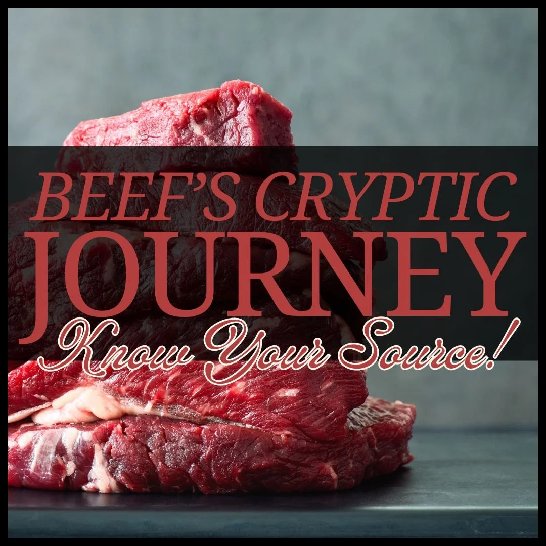 Beef’s Cryptic Journey: Why Knowing Where Your Beef Comes From Matters