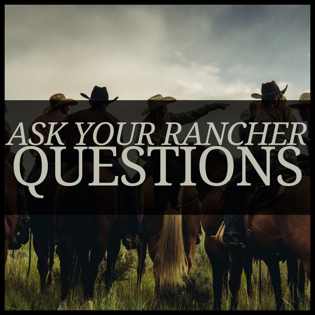 Questions to Ask Before Purchasing Meat from a Rancher