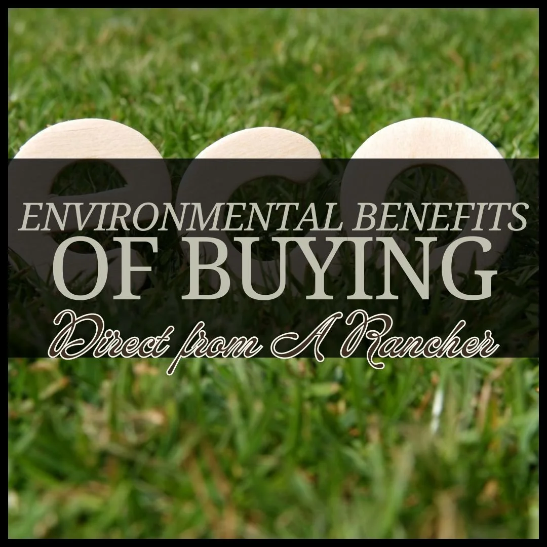 The Environmental Benefits of Buying Direct from Ranchers
