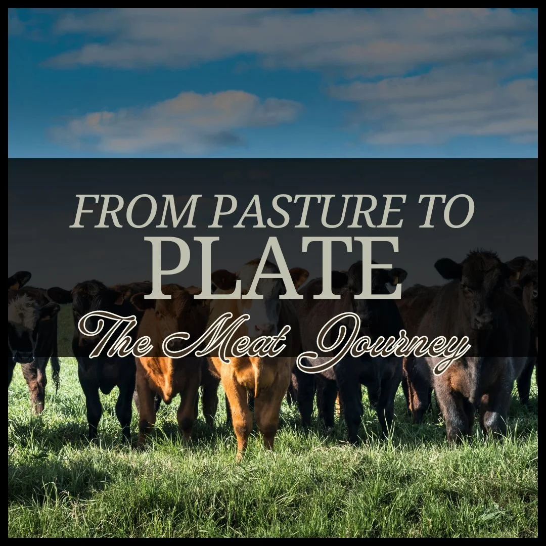 From Pasture to Plate: Understanding the Journey of Your Meat