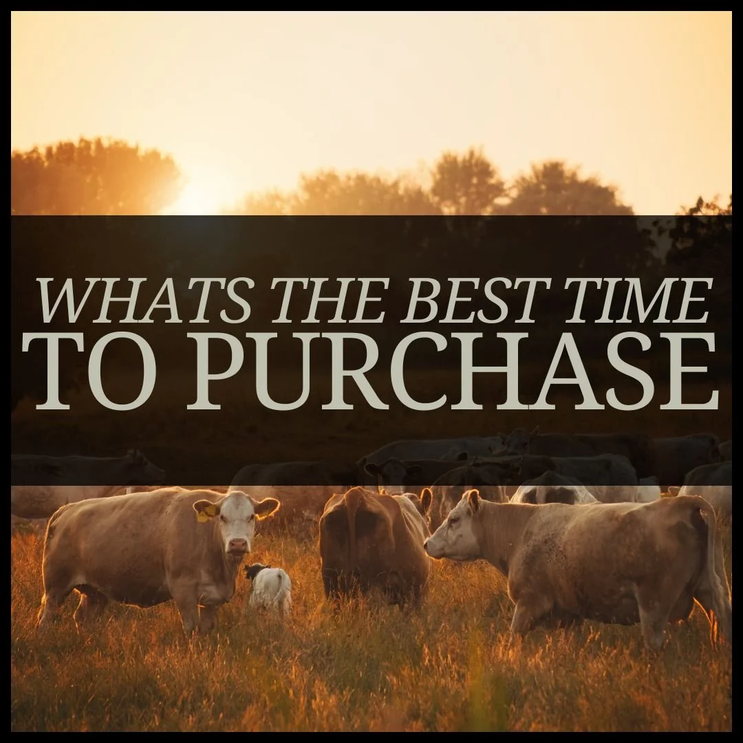 What’s the Best Time to Purchase Different Meats?