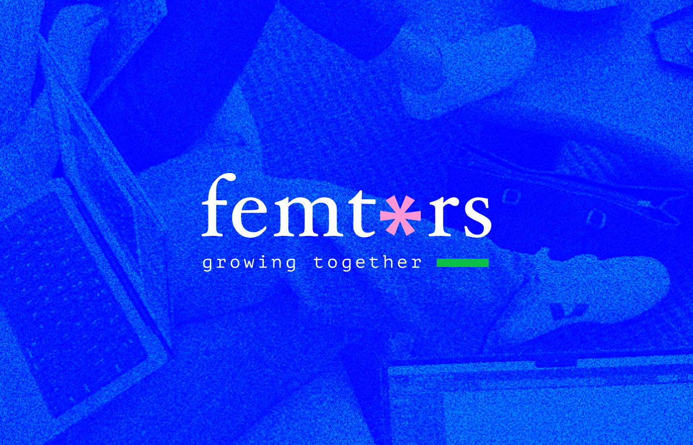Brand identity for Femtors — a mentoring initiative for women in tech
