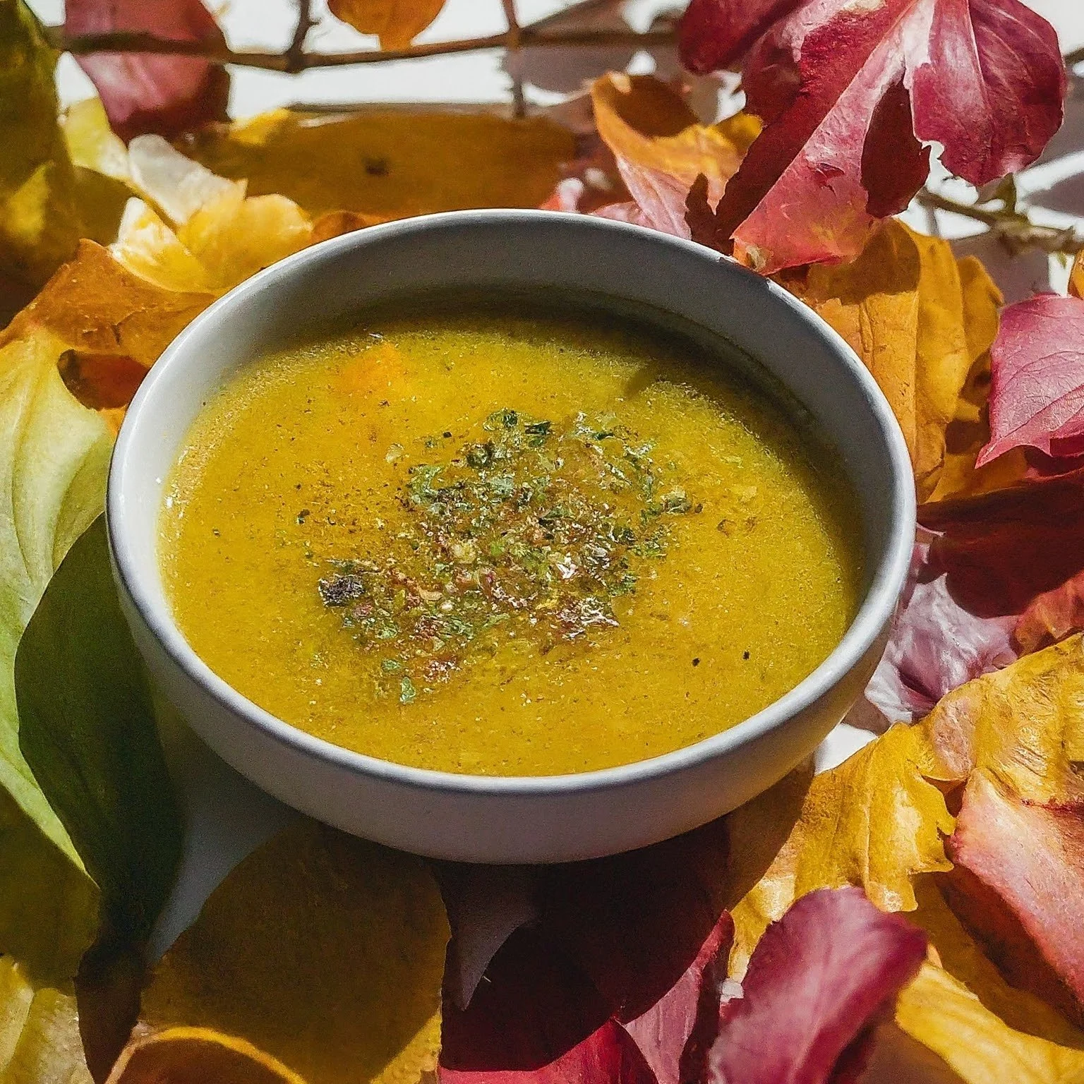 soup, fall, season, leaves, bowl, september issue, newsletter
