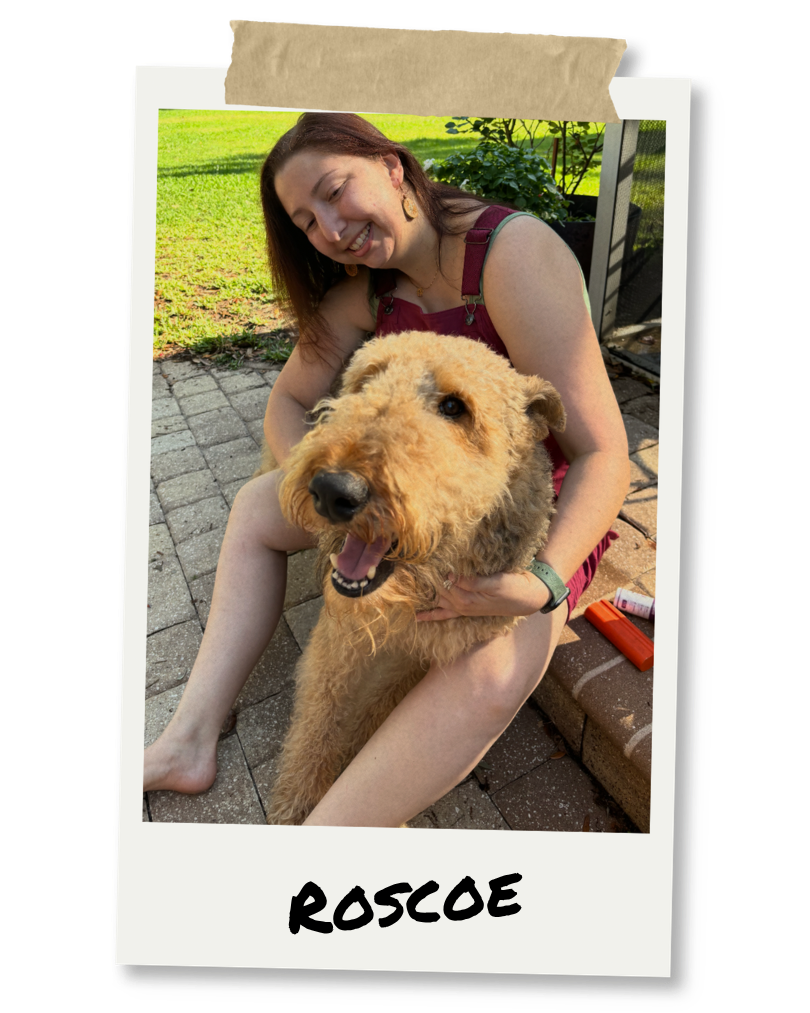 A woman smiling and playing with a large, curly-haired dog outdoors on a brick patio.