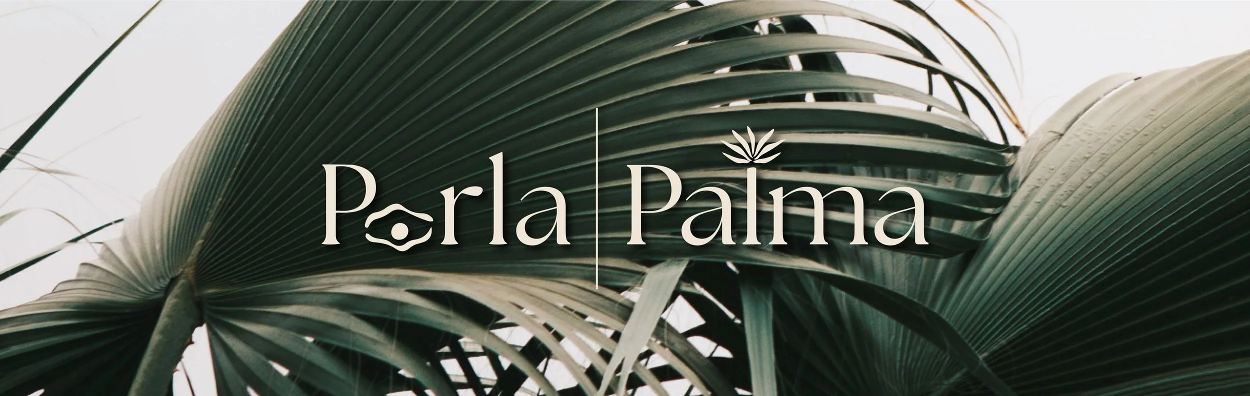 PERLA PALMA WEBSITE ANTO-01.jpg