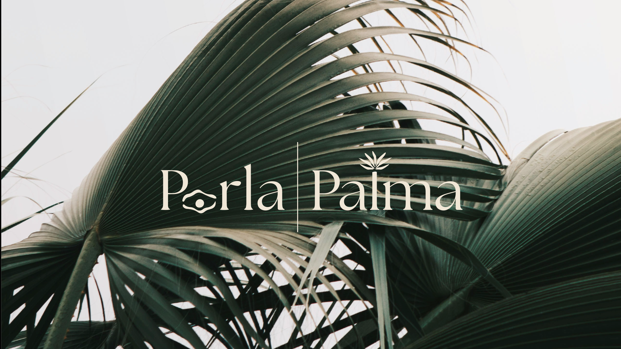 Perla|Palma: E-Commerce Brand Identity