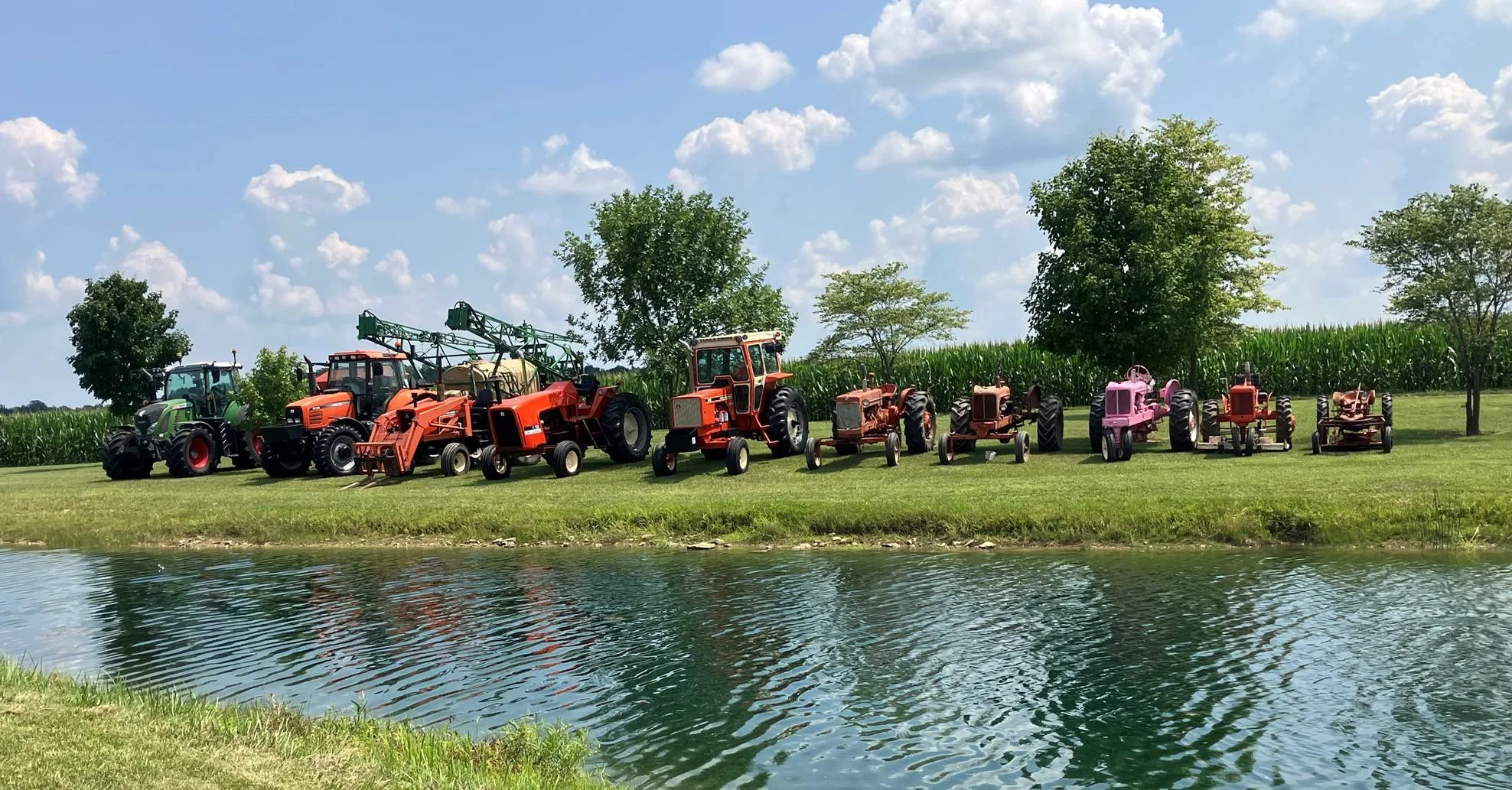 Great collection by the pond.