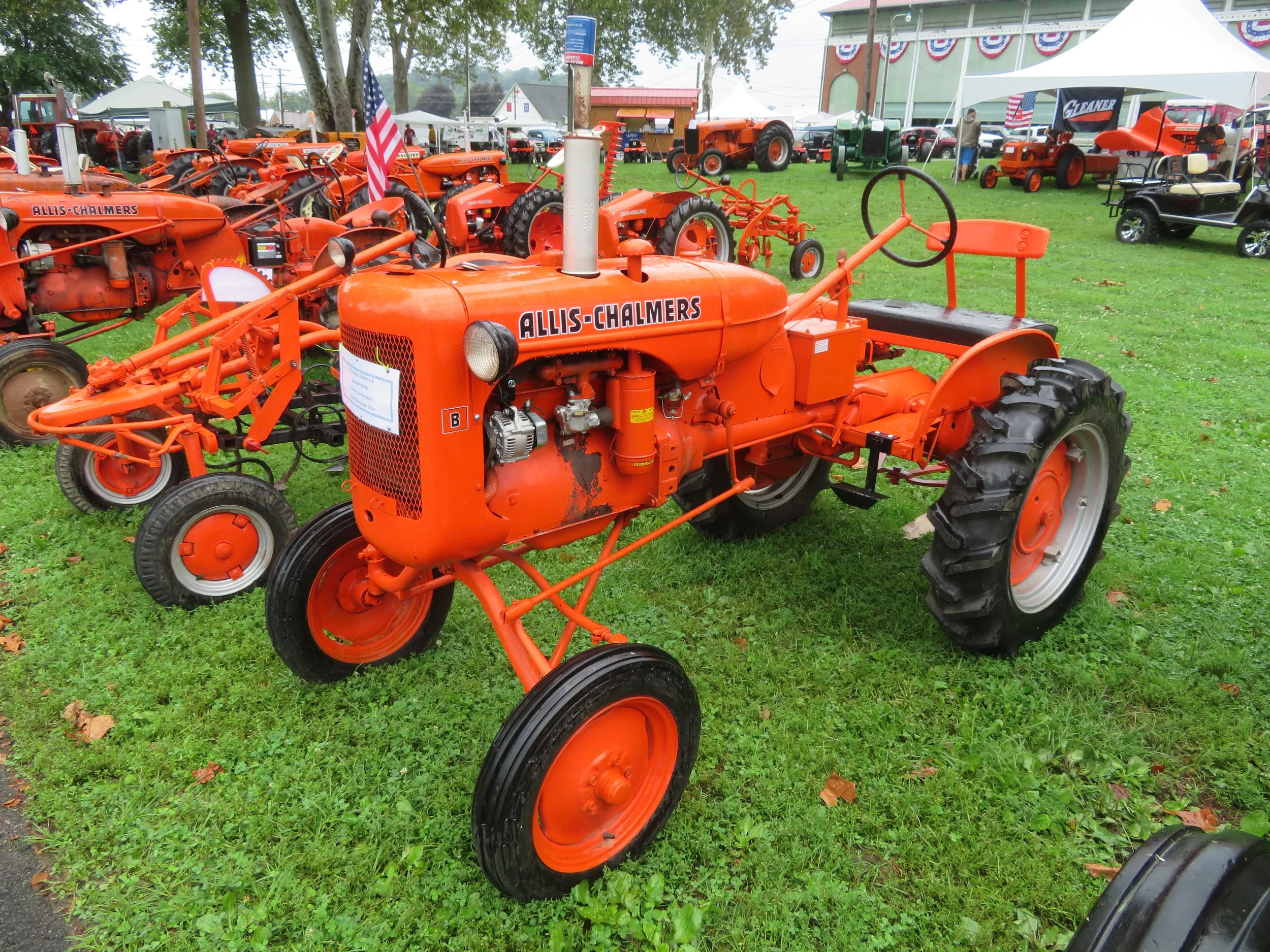 1950 B - Dale Schacht