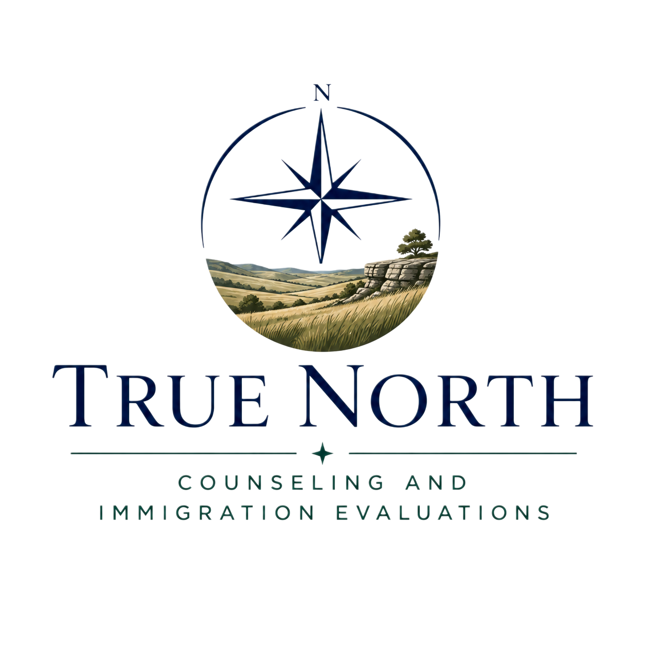 True North Counseling and Immigration Evaluations, LLC