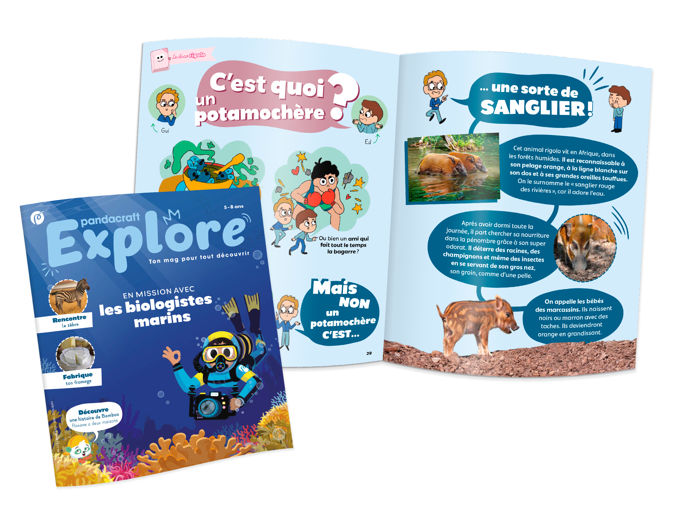 Explore - illustrations