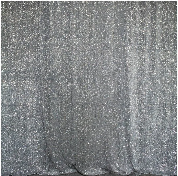 Silver Sequin