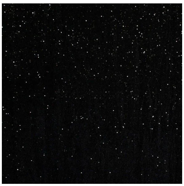 Black Sequin