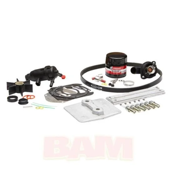 0449261_mercury-outboard-8m0149930-service-kit-300-hour-v6-34l-200-350-hp-4-stroke_550.jpeg